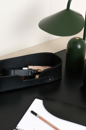 Tray Organizer